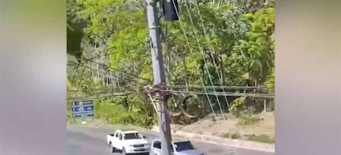 Disparos y persecución: Fuerza Pública frustra intento de fuga con licor ilegal