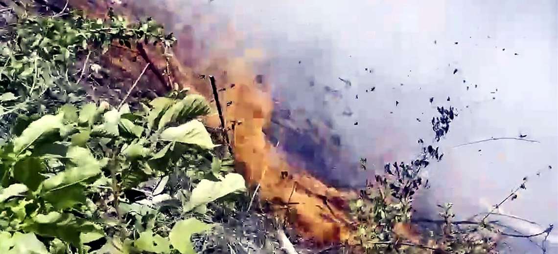 Video: Incendio forestal en Santa Cruz amenaza al menos 20 casas y bodegas