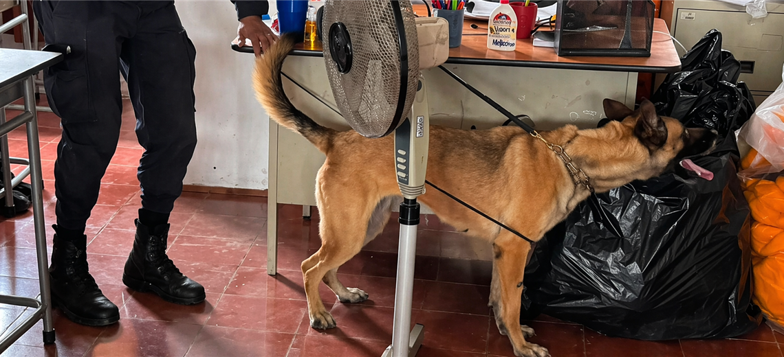 Policía encuentra varias dosis de droga y una cuchilla en colegios de Desamparados