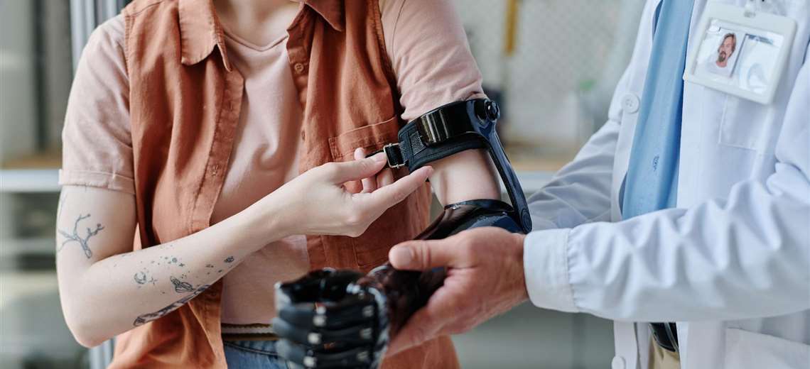 Por qué los mamíferos no podemos regenerar partes del cuerpo enteras como otros animales