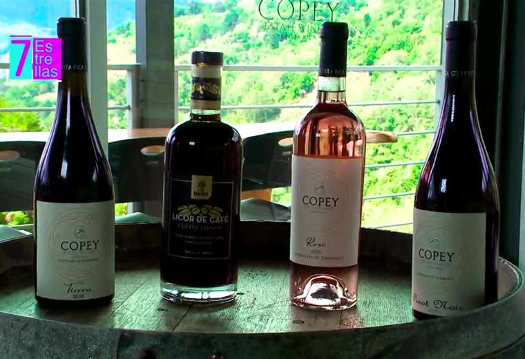 Vino, altura y uchuva: la experiencia única de un viñedo en Copey de ...