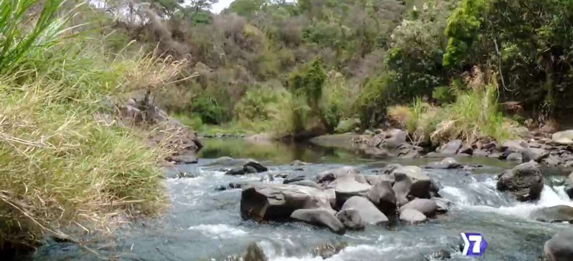 Un monstruo que se oculta en el agua