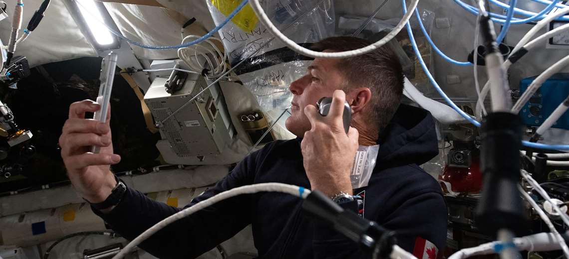 Tripulación de Artemis, a pocas horas de su regreso a la Tierra - Imagen de la noticia