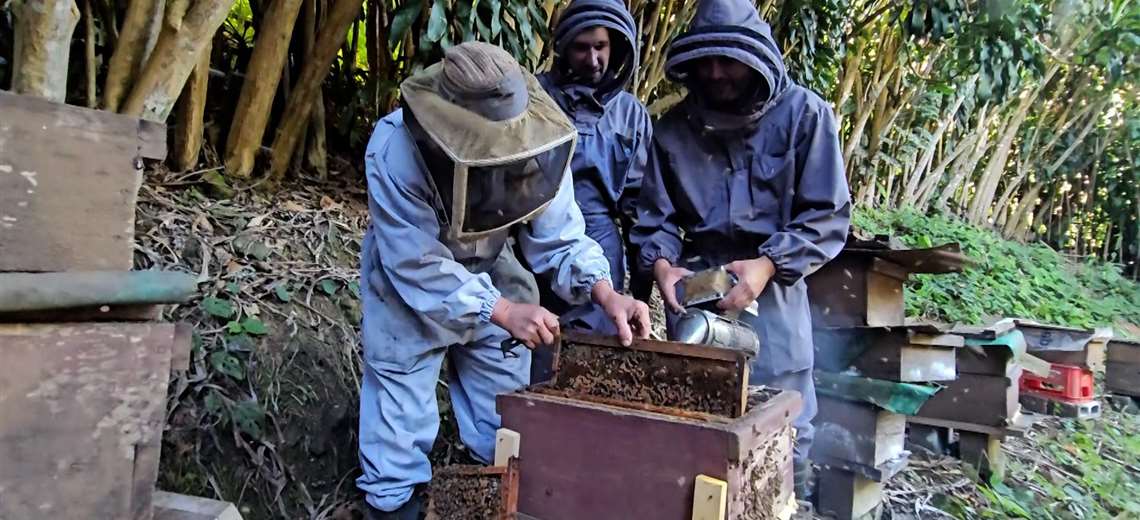 Entre colmenas y nervios: Juank aceptó el reto de ser apicultor por un día