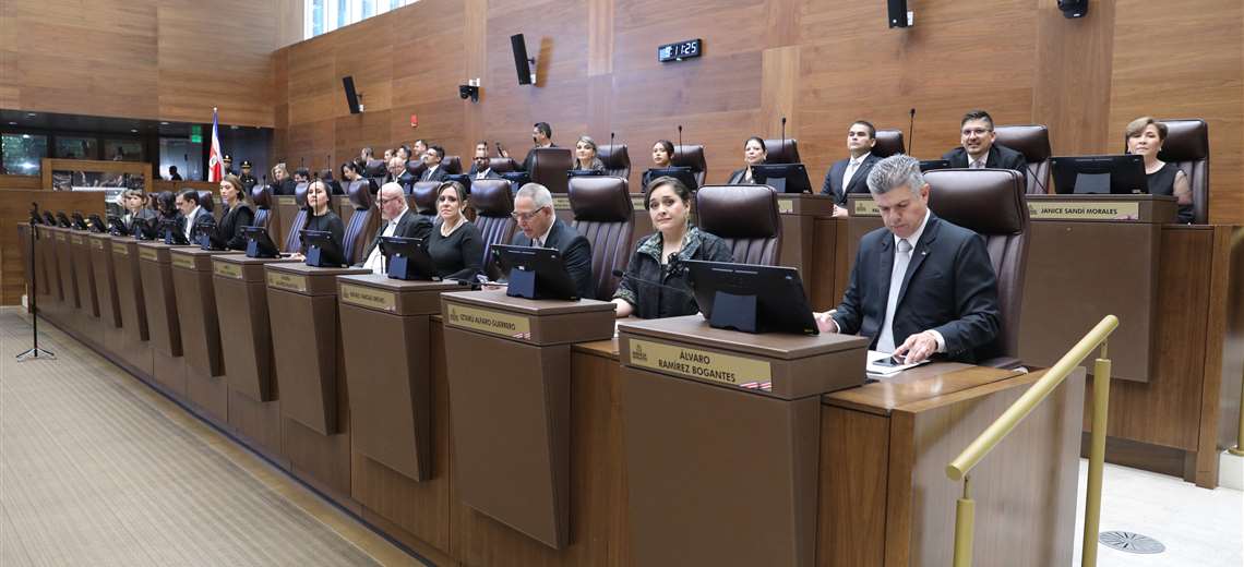 PLN anuncia que votará en contra de proyecto de armonización