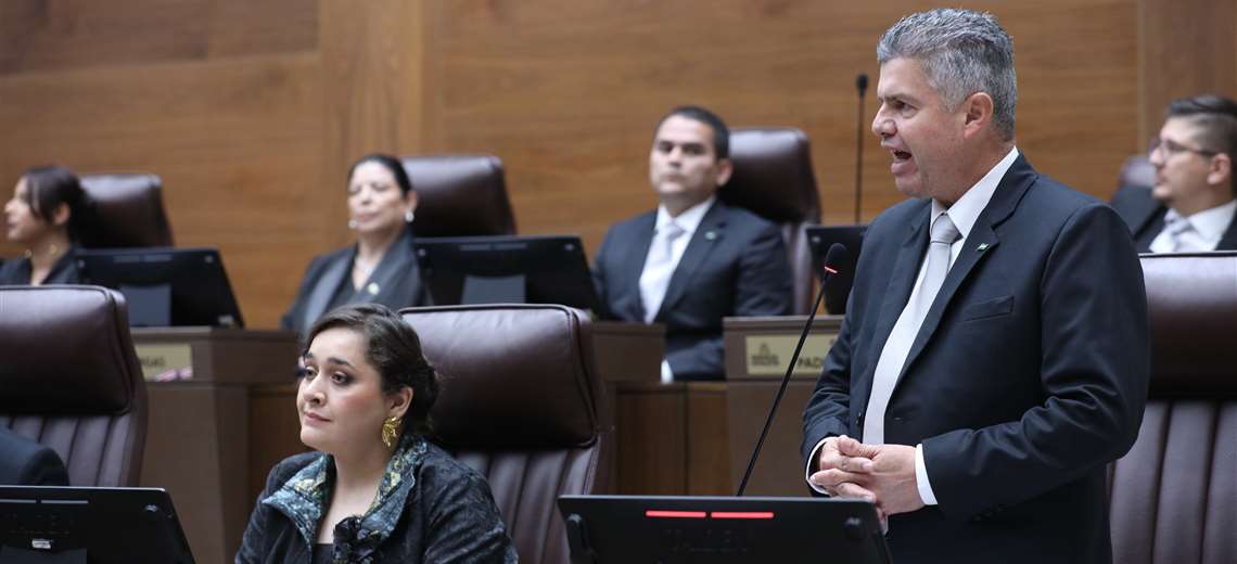 PLN convoca a conferencia para anunciar su posición sobre proyecto que abriría el mercado eléctrico