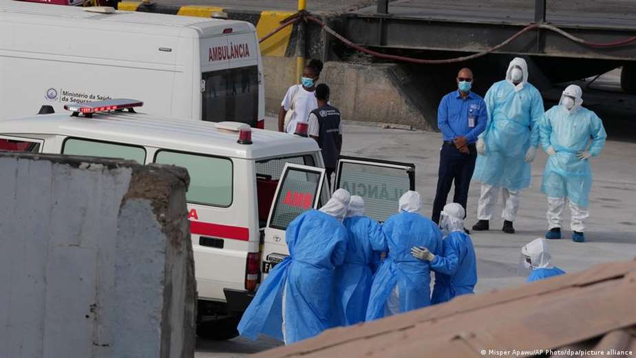 DW Verifica: El hantavirus no es una nueva pandemia