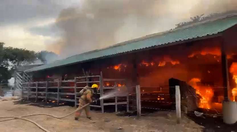 Incendio consume finca lechera en Nicoya