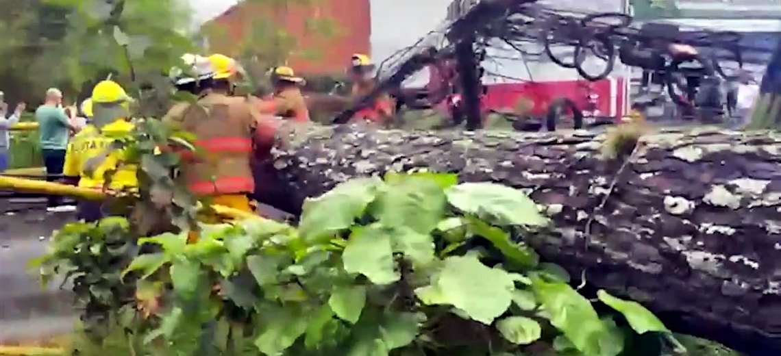 Caída de árbol en Concepción de La Unión mantiene vía cerrada
