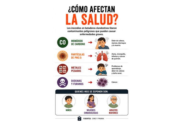 Infografía basura