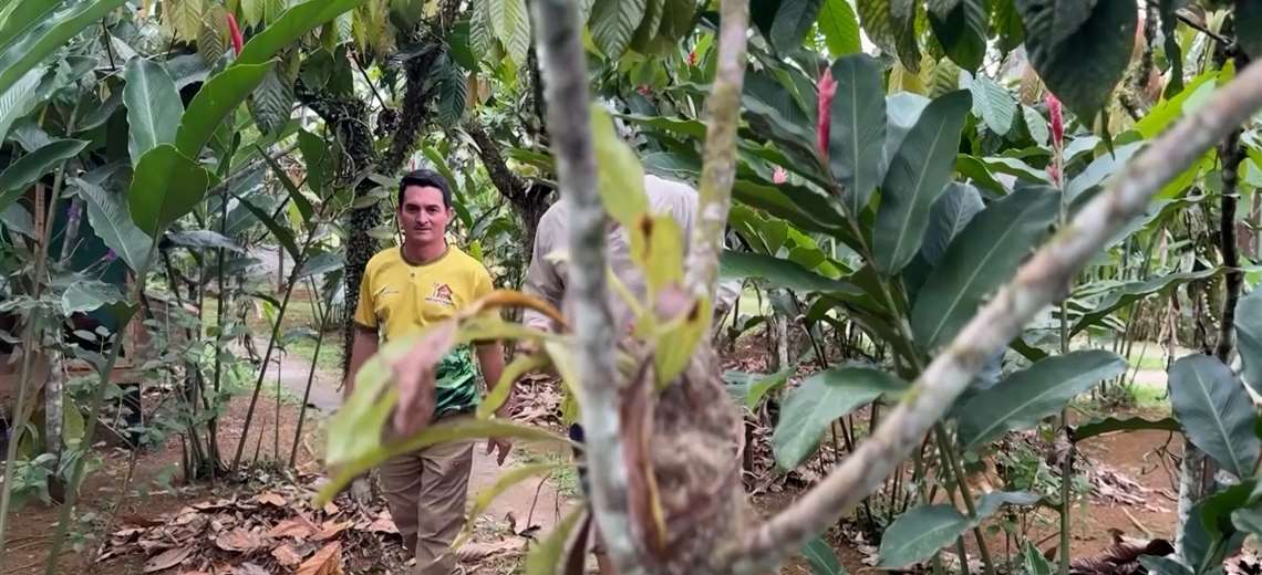 La finca donde las ranas de ojos rojos y las abejas se convirtieron en un negocio familiar exitoso