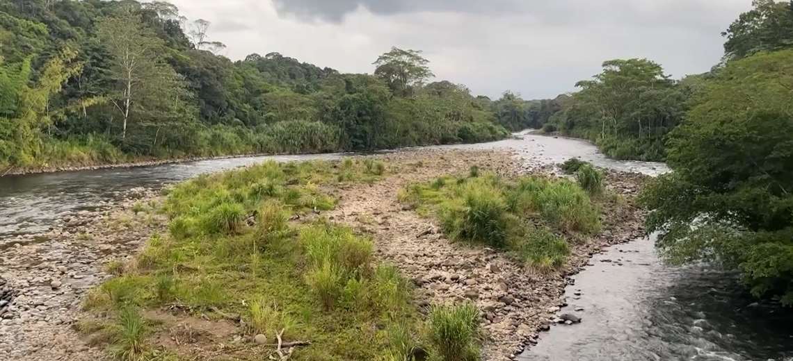 La reserva en Sarapiquí que todo costarricense debería visitar al menos una vez
