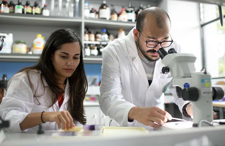 Investigación de parásito en perros