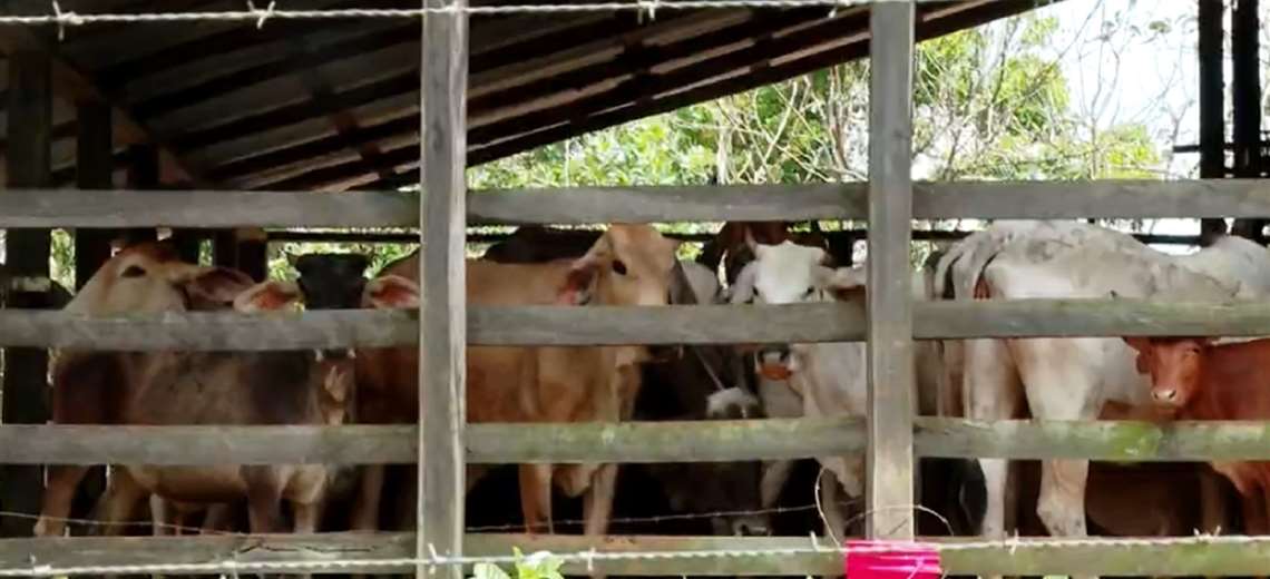 Expertos advierten cómo delincuentes pueden usarlo para blanquear capitales sin darse cuenta