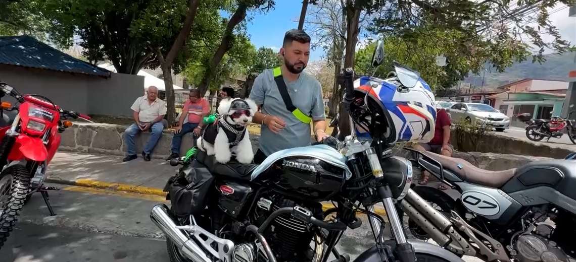 Tiene más estilo que la mayoría de motociclistas: el perro 'biker' que conquista Santa Ana