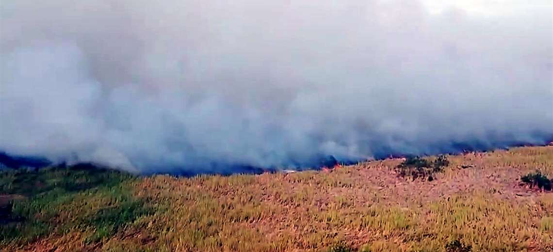 Video: Rayo provoca enorme incendio forestal en Parque Nacional Palo Seco