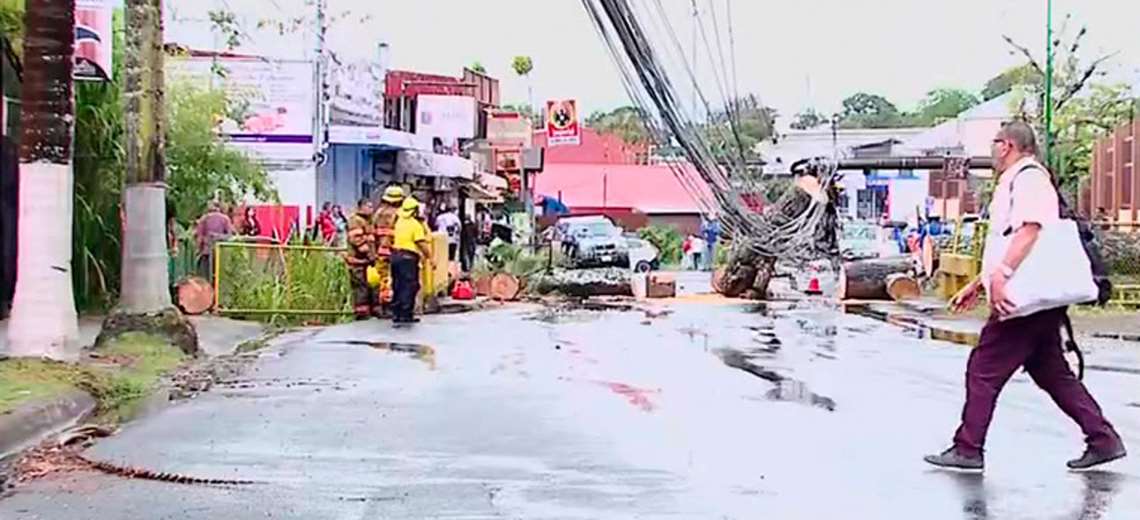 CNFL trabaja para restablecer electricidad tras caída de árbol en La Unión