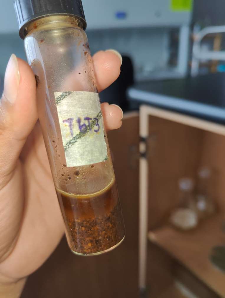 Proyecto de la UNED convierte residuos orgánicos en setas comestibles, bioinsumos agríco