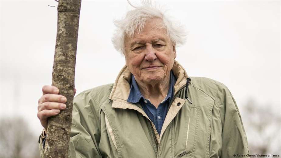 David Attenborough, el gran divulgador de la naturaleza, cumple 100 años