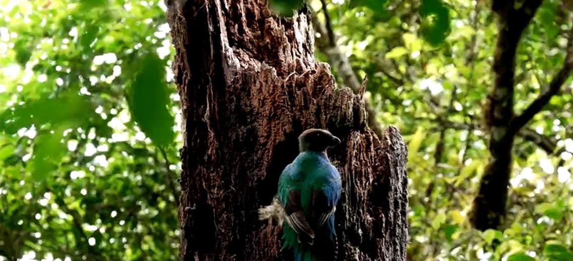 Conozca la historia de la mina de azufre que casi destruye el Parque Nacional del Agua