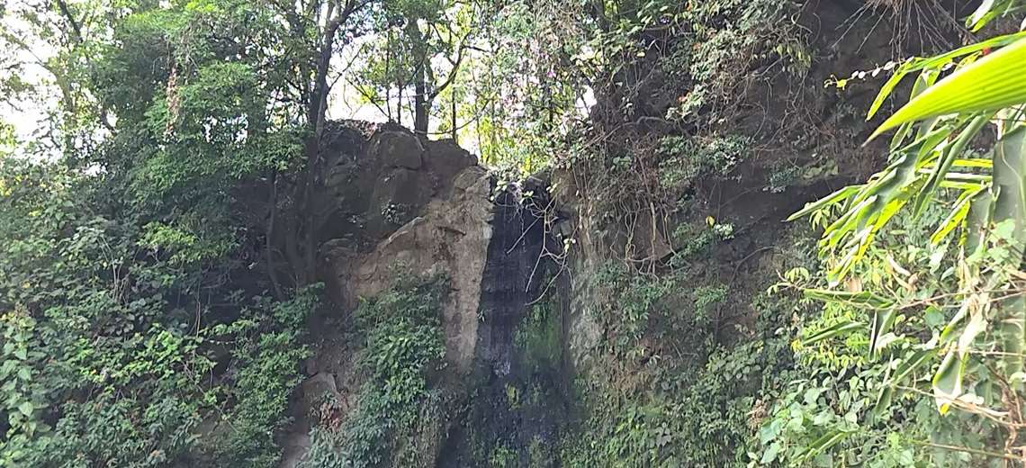 El secreto mejor guardado en Poás para escapar del estrés