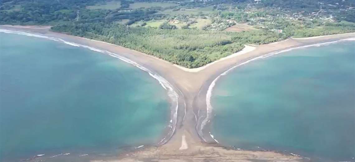 La protesta que salvó la cola de ballena: el paraíso que casi desaparece