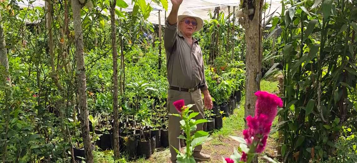 El vivero de Don Álvaro en El Coyol guarda plantas casi extintas que él rescató con sus manos