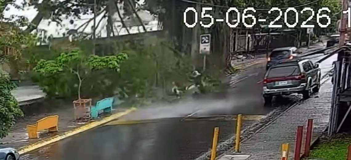 ¡Increíble! Rama de gran tamaño estuvo a punto de causar tragedia en Pavas