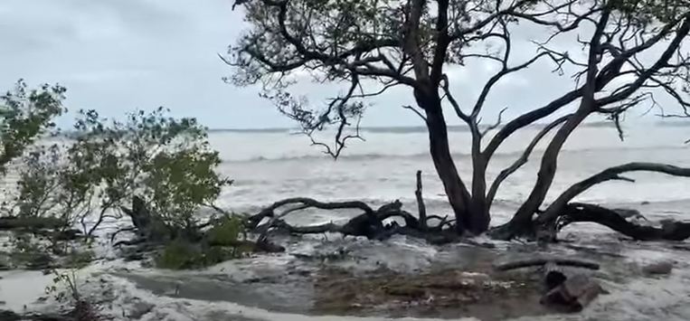 Guanacaste