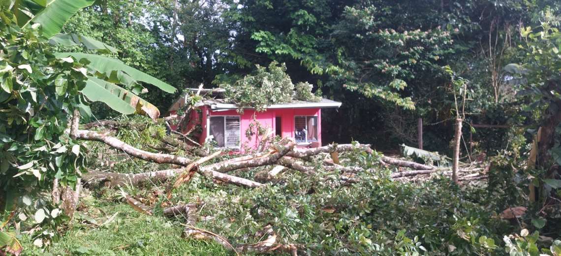 Inundaciones, árboles caídos y rutas cerradas mant